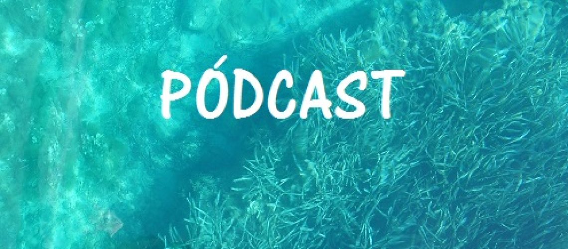 Podcast